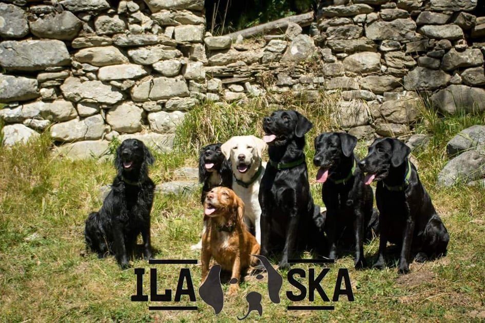 ska dog Intervista a Ilaria Boero
