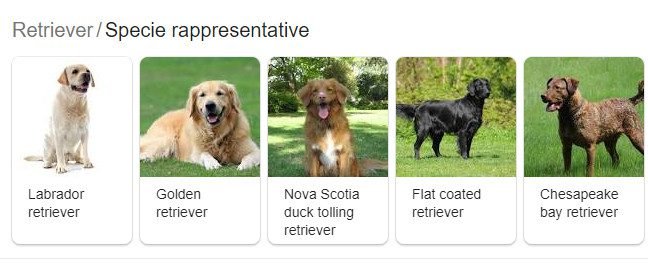 i retrievers