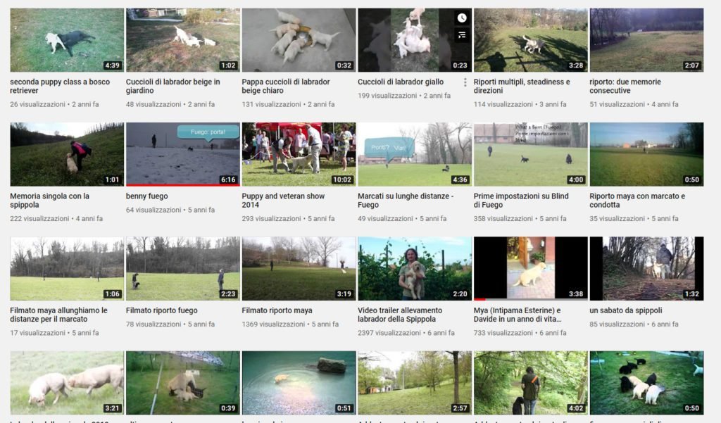 video sui retrievers